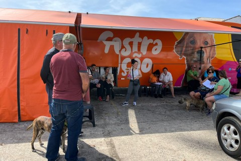 Arroio do Sal realizará mais de 200 castrações de cães e gatos em mutirão deste fim de semana