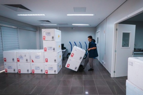 Estado recebe mais 964 mil doses de vacina contra a gripe