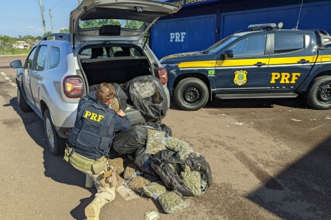 PRF prende homem com 37 kg de skunk em Torres