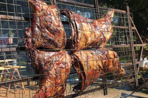 Assado de carcaça inteira de búfalo será atração em festival de churrasco na Serra Gaúcha