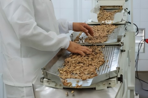 Indústria gaúcha de pecan está próxima de exportar para a China