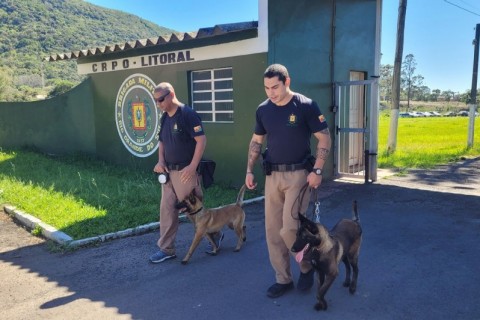 Investimentos do governo do Estado e integração das forças de segurança reduzem criminalidade no Litoral Norte