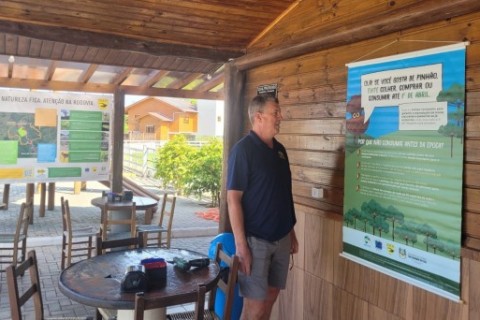 Rota do Sol: campanha educativa sobre a colheita do pinhão chega ao terceiro ano