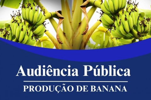 Câmara de Três Cachoeiras realiza audiência pública sobre o futuro da bananicultura no Litoral Norte